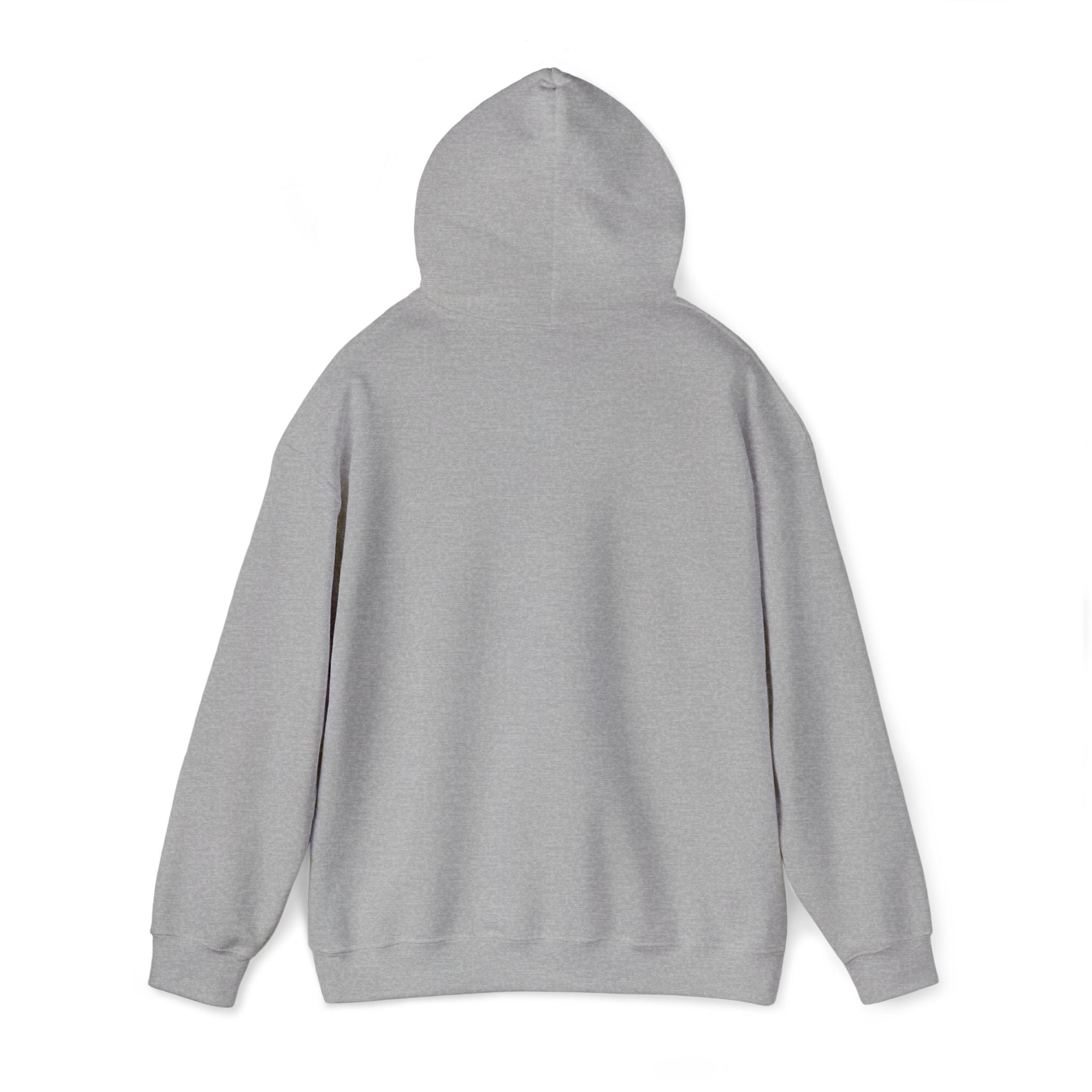 Hoodie —  ORION Graphic Hooded Sweatshirt