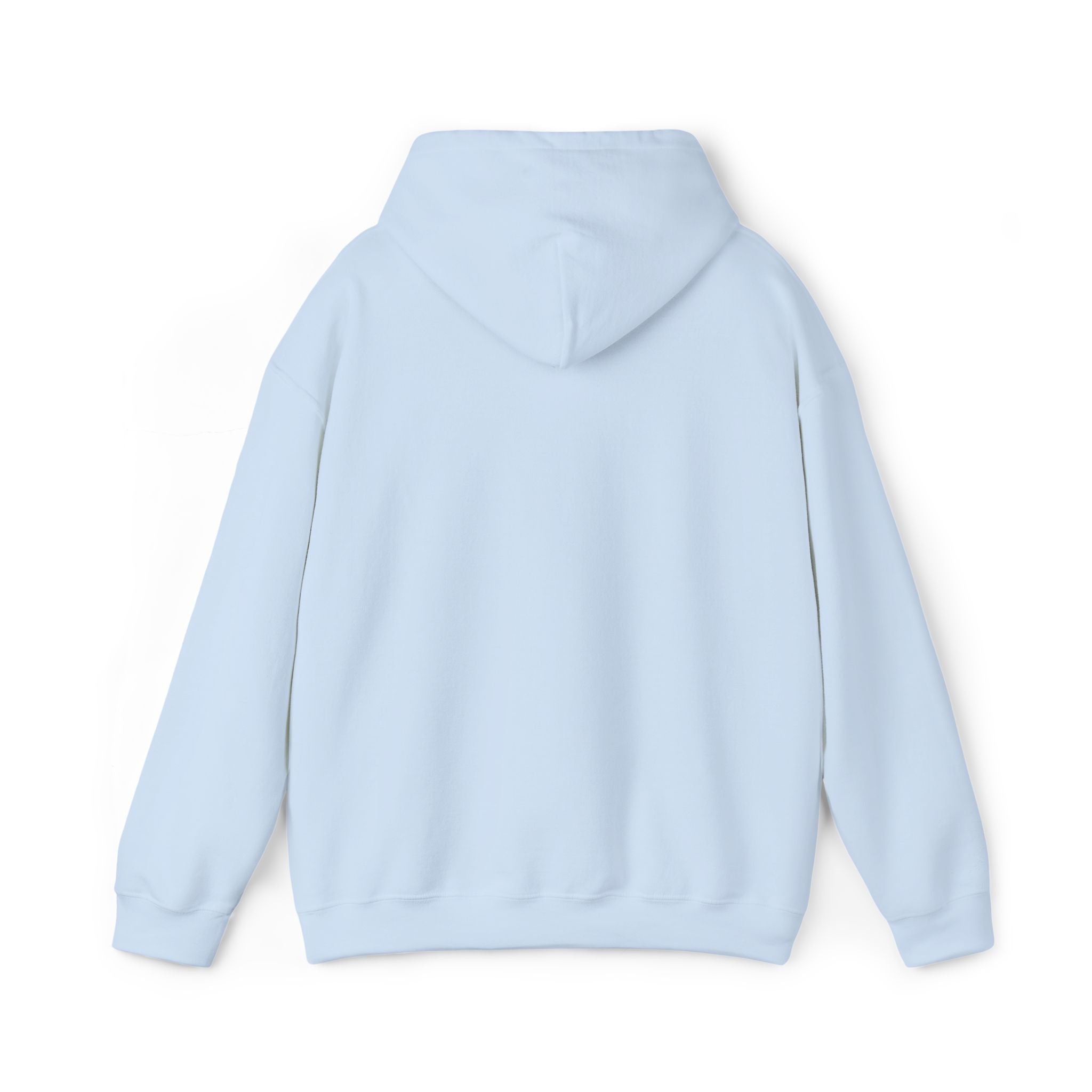 Hoodie —  ORION Graphic Hooded Sweatshirt