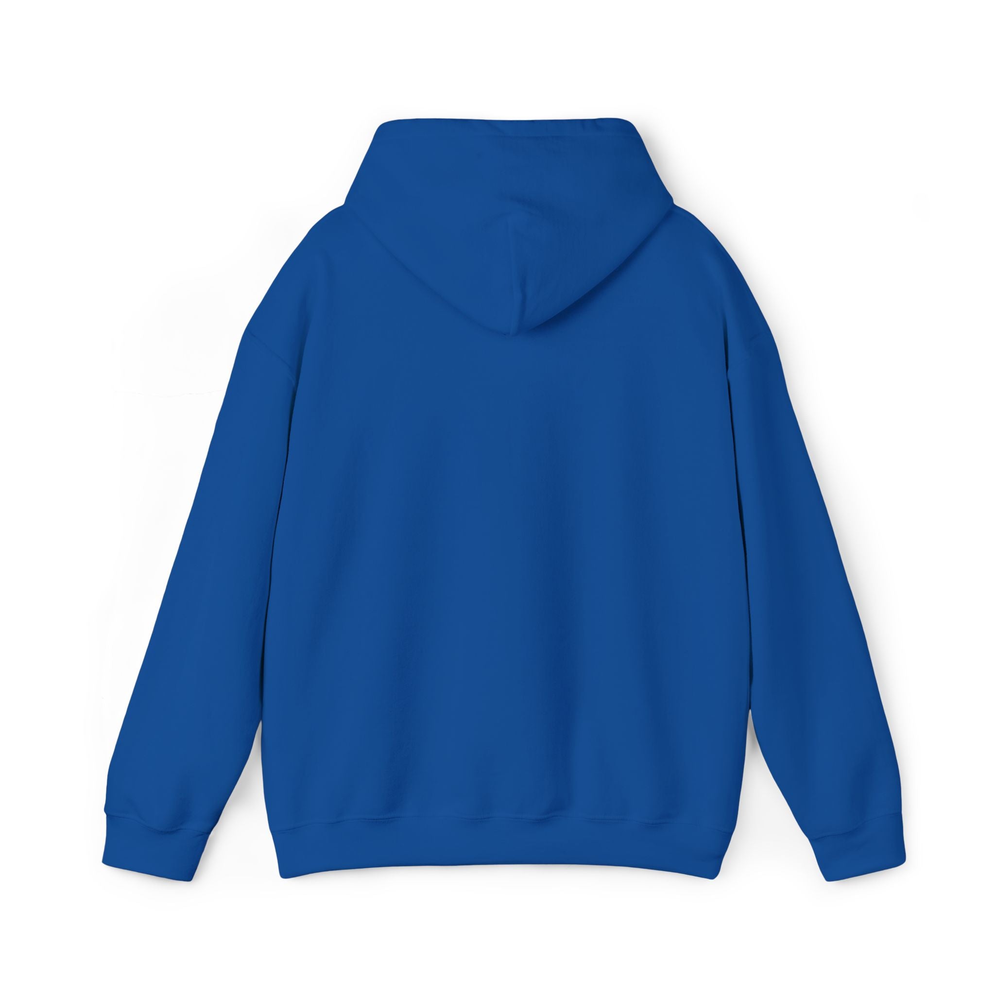 Hoodie —  ORION Graphic Hooded Sweatshirt