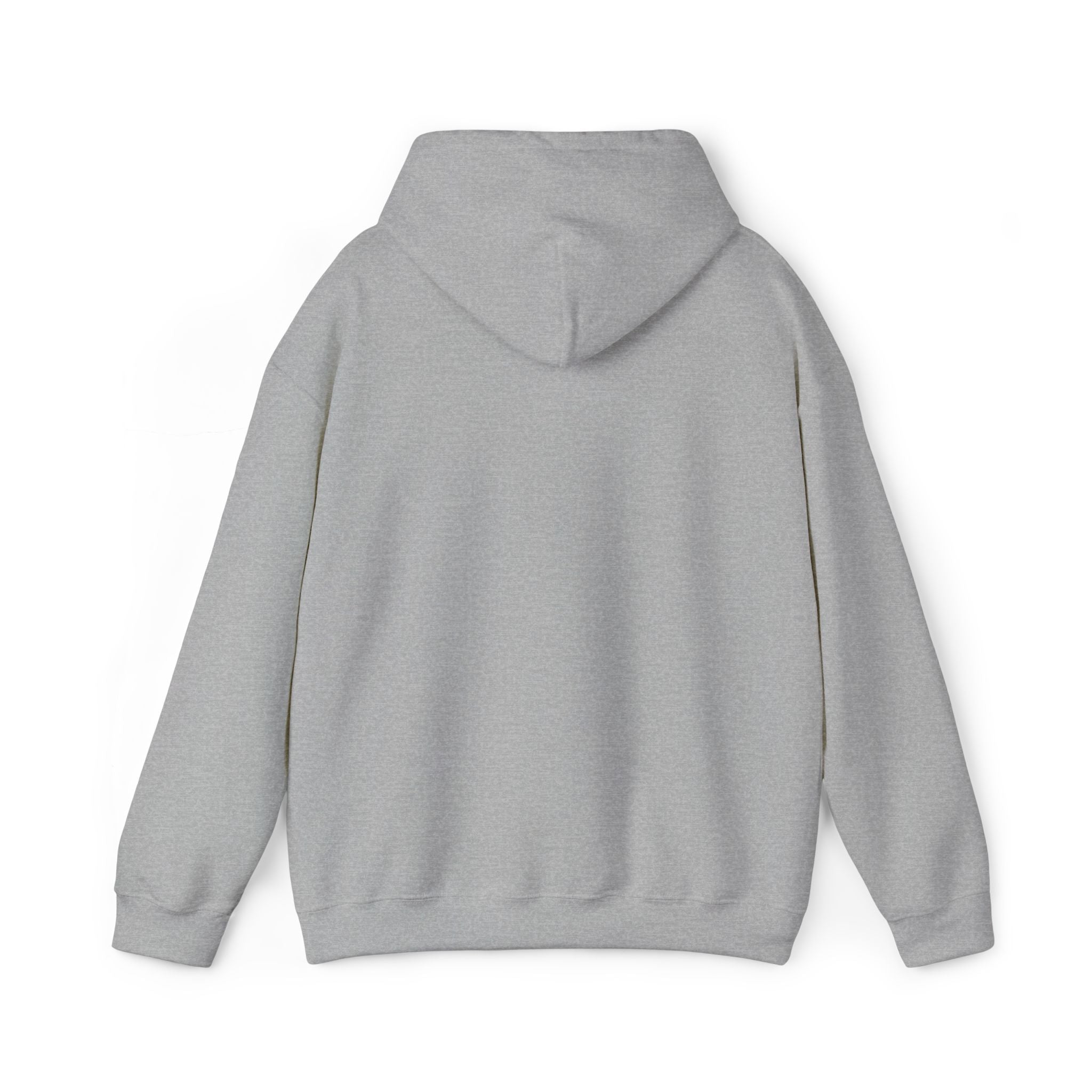 Hoodie —  ORION Graphic Hooded Sweatshirt